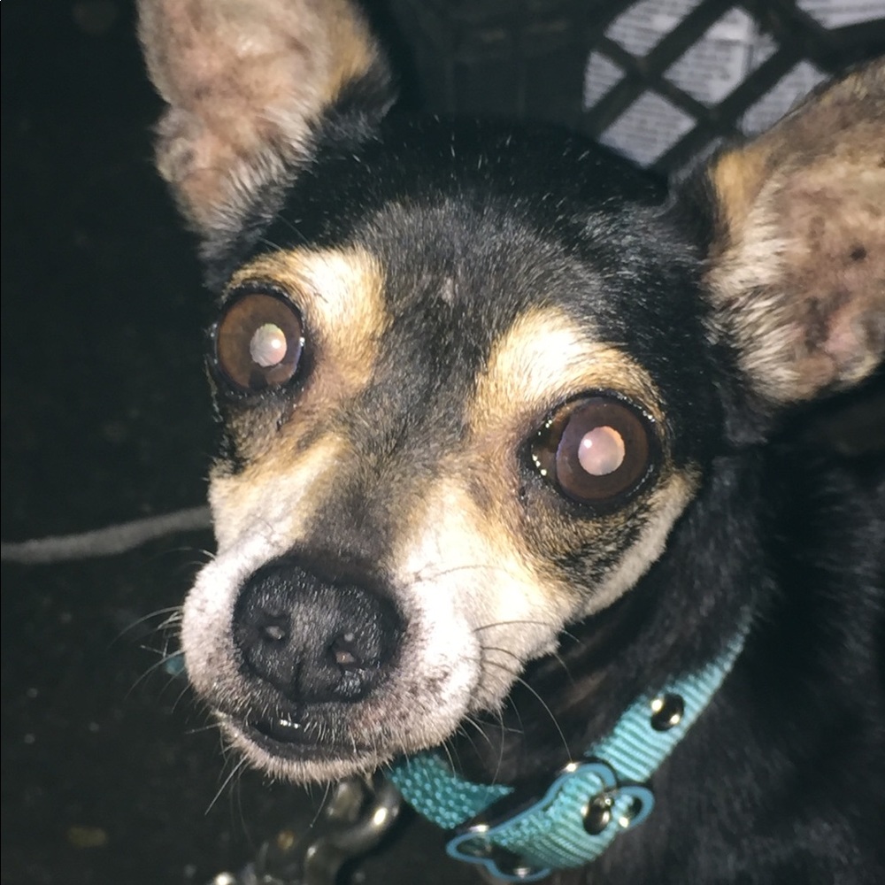 Meet your Posher, Winola